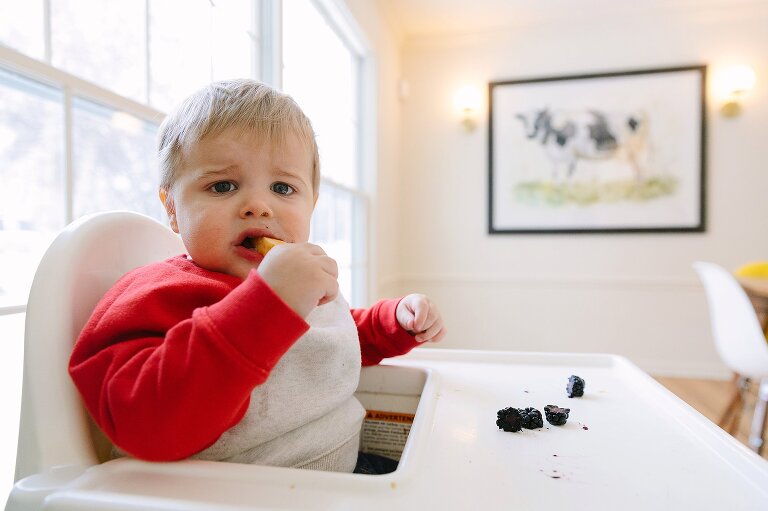 Toddler eats cheese and blackberries in his highchair 