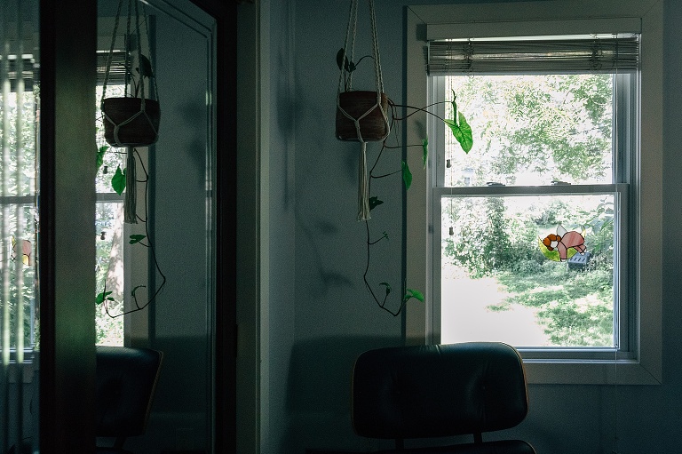 plant hangs from ceiling in a bedroom