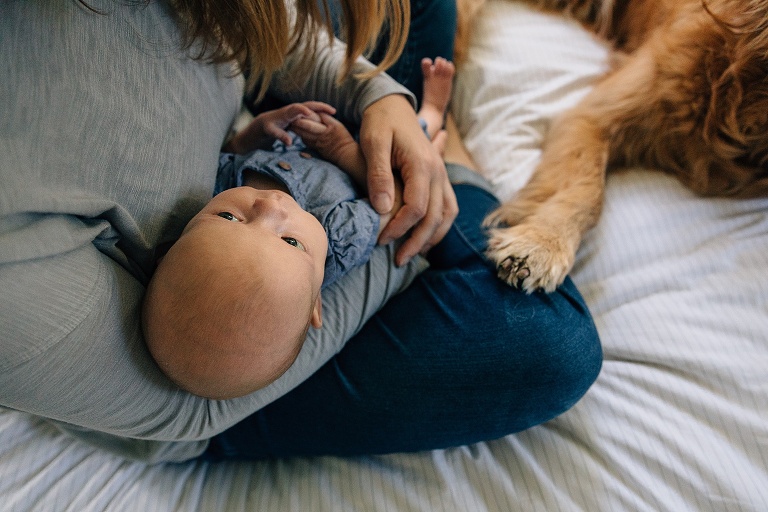 top view of baby in mother's arm with dog's paw on mother's knee