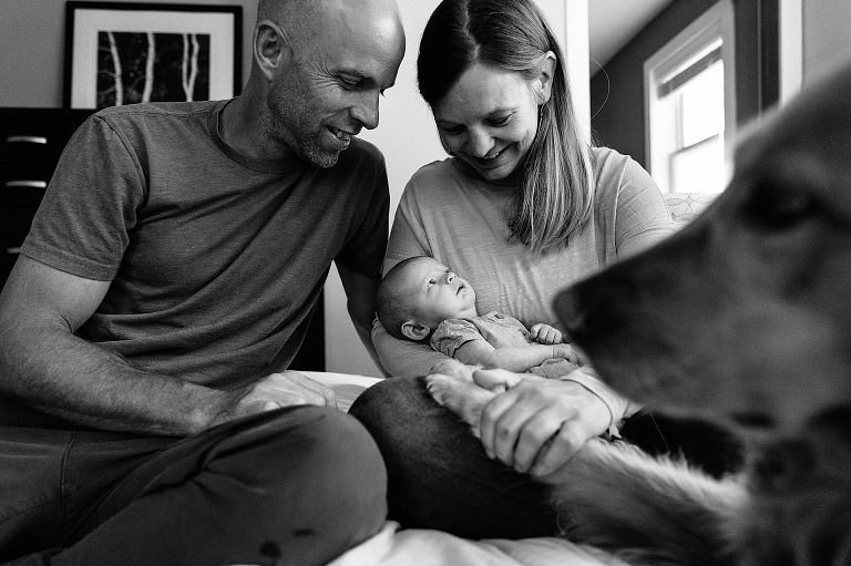 parents hold baby and dog's paw as baby looks at mother 