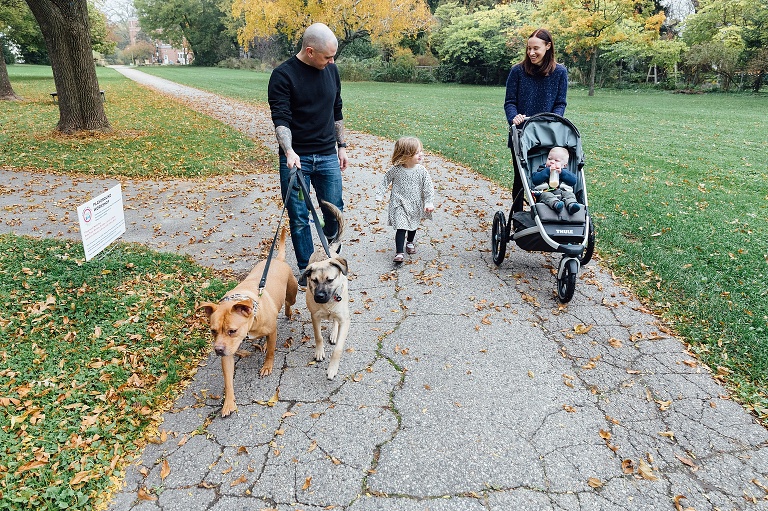 family of four and two dogs walk and talk on a foggy fall weekend