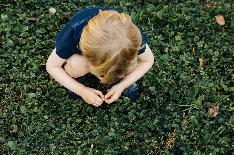 Top down view of young boy looking for four leaf clovers in a field of clover