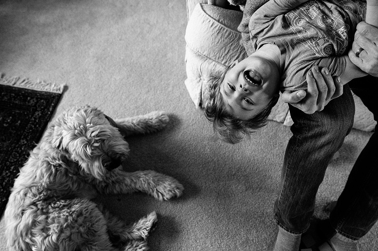 Preschool boy is held upside down in a big smile in one corner of the picture while a dog is in the other corner. Floppy hair matches. Black and white