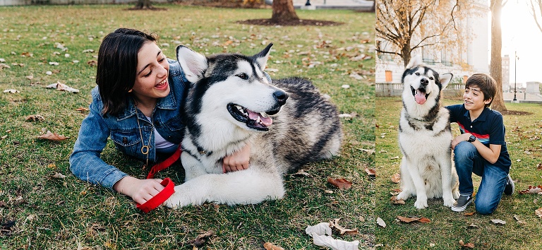 girl lies with husky dog on Capitol building lawn in downtown Madison