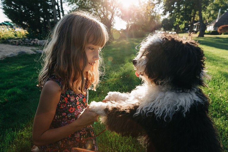 Girl holds hands with a fluffy dog in the evening light. 