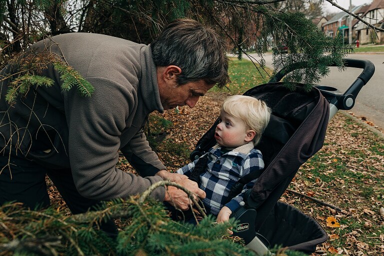dad buckles toddler in a stroller while stuck in evergreen trees