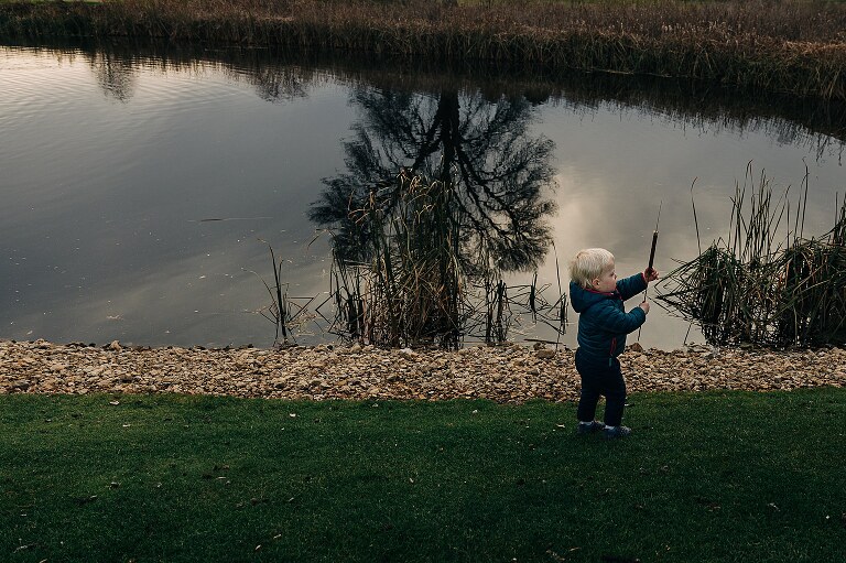 toddler holds and examines a cattail with tree and sunset reflection in the lake 