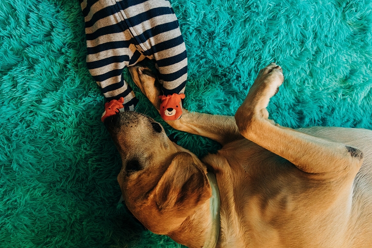 top down view of dog using paw to touch newborn on aqua carpet