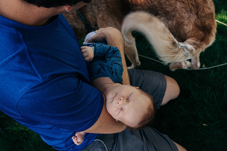 Dog tail swishes near newborn's face
