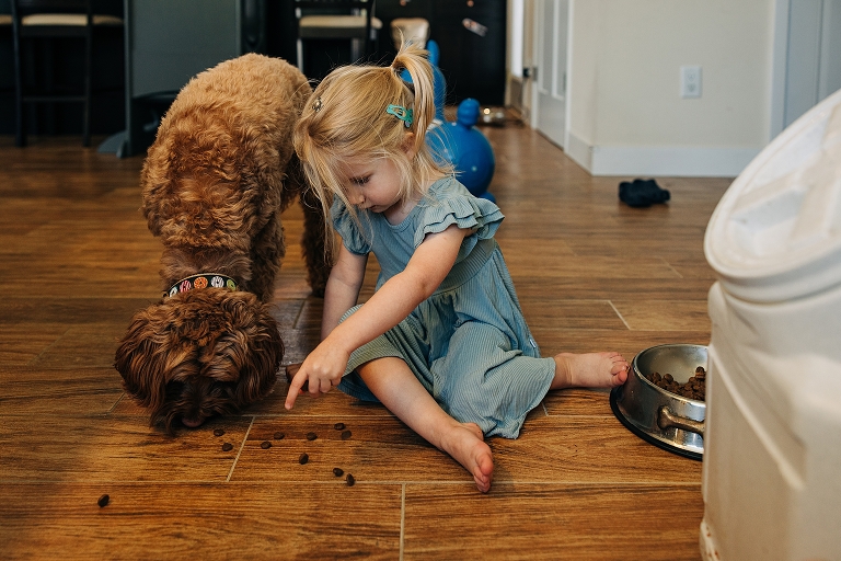 Older sister feeds family goldendoodle with kibble on the floor