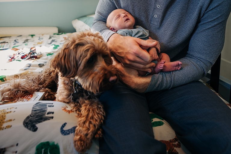 Newborn baby girl sleeps in father's arms as he sits on bed with family goldendoodle