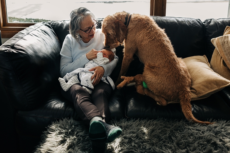 Dog gently examines newborn being held by grandmother 