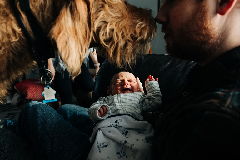 Dog touches noses with human while human holds crying newborn on a winter day