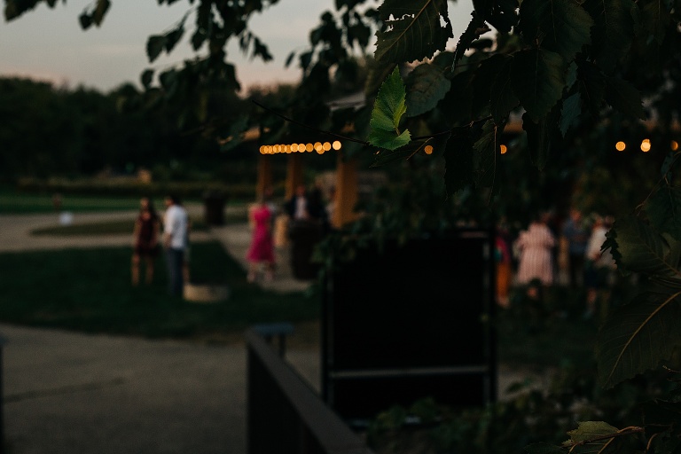 Green leaves with the Tenney Park wedding venue at dusk in the. background