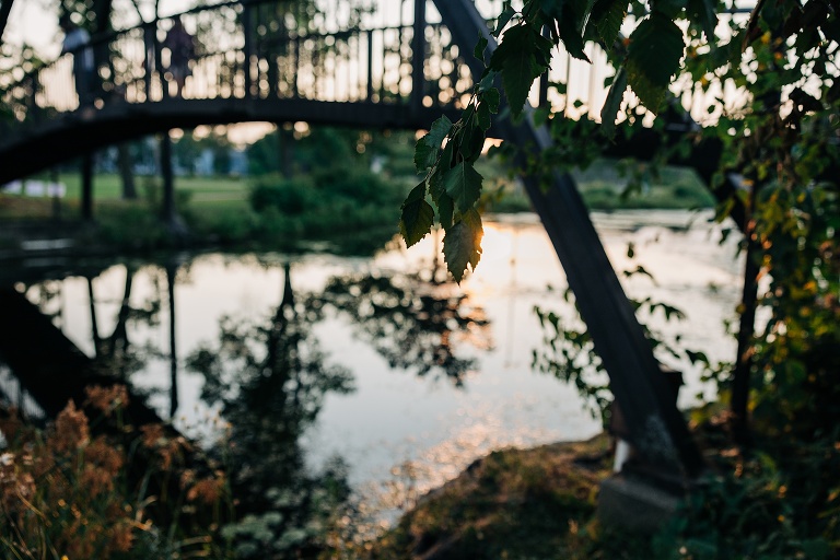 Nature shot of a leaved branch with Tenney Park creek in the Background