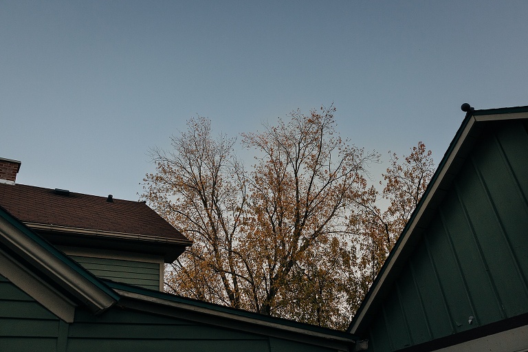 Vibrant orange fall tree with couple's home in the foreground